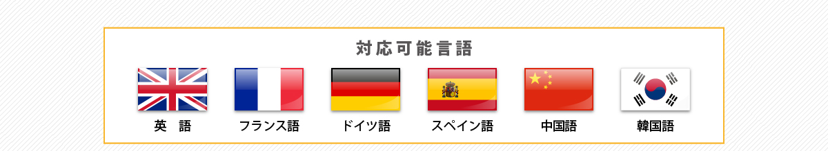 『対応可能言語』英語、フランス語、ドイツ語、スペイン語、中国語、韓国語