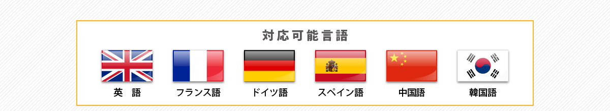 『対応可能言語』英語、フランス語、ドイツ語、スペイン語、中国語、韓国語