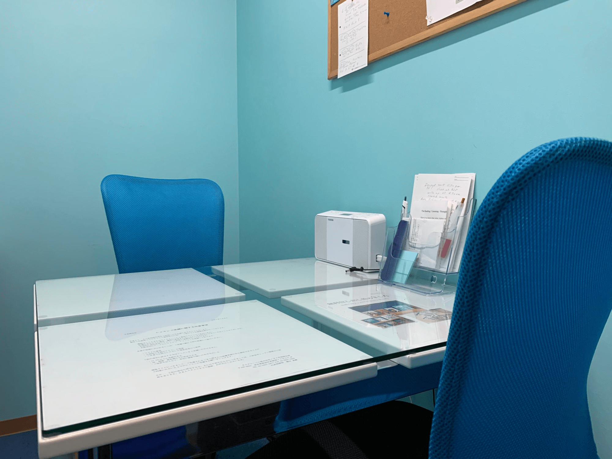 新潟市 マンツーマン英会話教室のネス